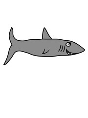 hai comic cartoon clipart design schwimmen fisch meer unterwasser räuber fressen weißer jäger gefährlich lustig