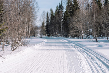 Ski trail in the forest. Traces of the snowcat. Trail for skiing in the forest. Winter forest for...
