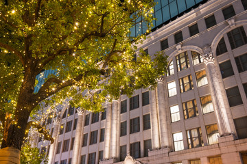 Fototapeta premium なんばのイルミネーション