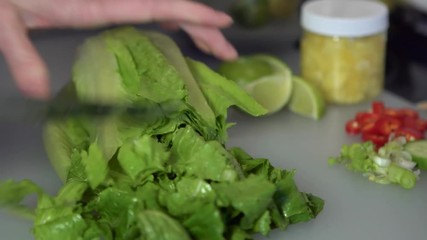 Female hands slicing romain lettuce.