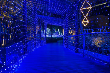 なんばパークスのイルミネーション