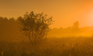 Fototapeta na wymiar Golden sunrise