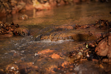 Montain river