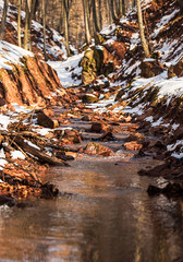 Montain river