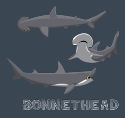 Obraz premium Bonnethead Shark Cartoon Vector Illustration