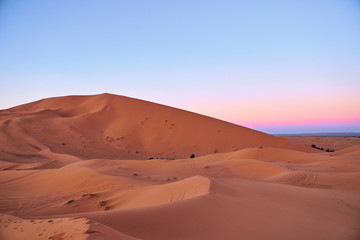 Fototapeta na wymiar Beautiful pink sunset at big dunes in Sahara desert Morocco Africa