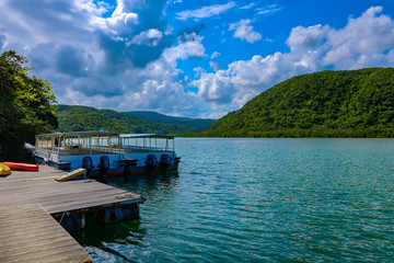 浦内川　西表島　ボート