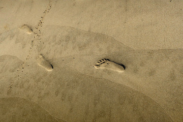 砂浜の足跡