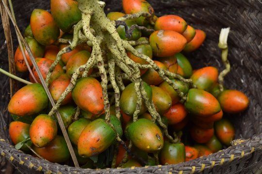 Basket of palm nuts