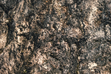 Stone wall. Fragment of gray rock as background