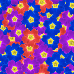 Fototapeta na wymiar Verbena. Seamless pattern texture of flowers. Floral background, photo collage