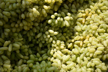 Sweet Indian green Grape, rich in Vitamin-C