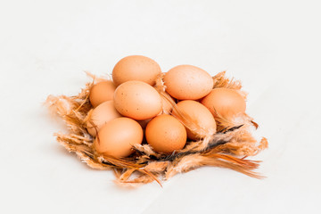 Brown Eggs on Feathers, Isolated on White Background