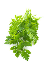 イタリアンパセリ