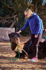 Happy blonde tourist girl petting the dark dromedary camel in the Sahara desert