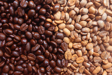 Fresh coffee bean Roasted