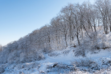 Fototapeta na wymiar Landscape of a beautiful snow covered winter forest