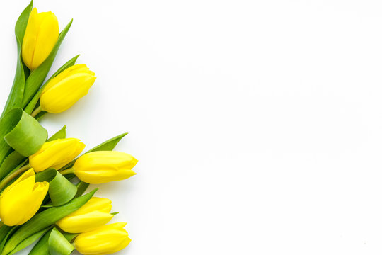 Yellow Tulip Images – Browse 525,161 Stock Photos, Vectors, and Video |  Adobe Stock