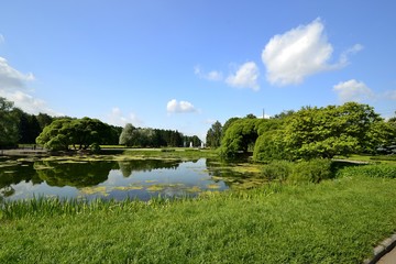 Fototapeta na wymiar Lake in the Park in spring