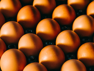 Many eggs in paper panel with shadow from sunshine in evening in kitchen.