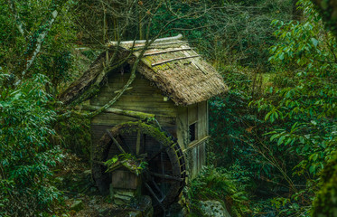 愛媛県・緑深い森の水車小屋の風景