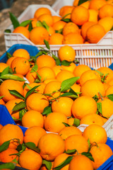 Ripe oranges in boxes.