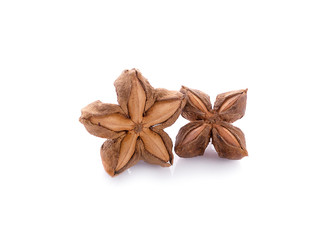 Fototapeta na wymiar Nuts Incas , sacha inchi peanut seed on white background
