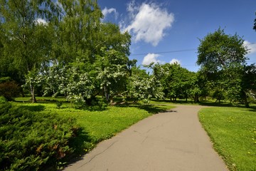 Fototapeta na wymiar paths in the Park in spring