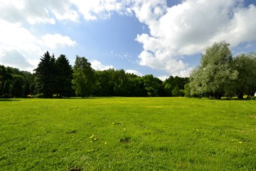 green glade in the Park © flamel123
