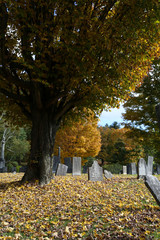 Cemetery in Vermont in the Fall