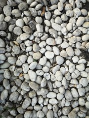 arranged in the garden to decorate