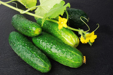 Green cucumbers, flowers and leaves on a dark