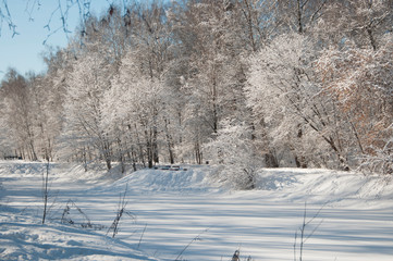 Winter landscape with a park
