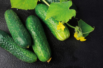 Green cucumbers, flowers and leaves on a dark