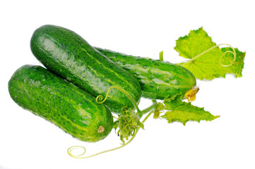 Cucumbers with leaves on a white background