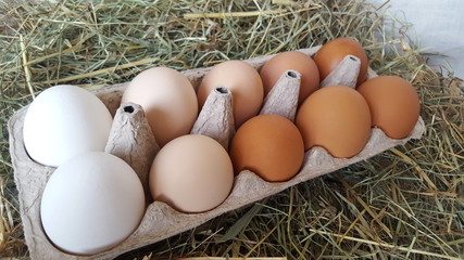 Eggs in the hay. Eggs of different shades in a cardboard substrate on a hay. The natural color of the eggs. Preparation for Easter.