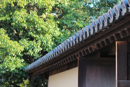 A Yakushi Ji Temple In Ancient City Nara