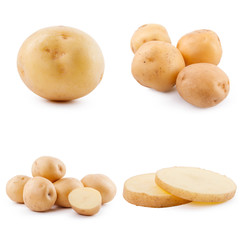 Collection of potato isolated on white background