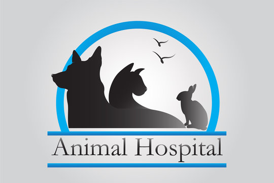Logo dog cat and rabbit veterinary business card