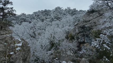 andscape, sky, nature, snow, winter, tree, blue, mountains, rock, foreslt, park, stone, travel, trees, pine, cold,