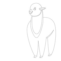 baby lama, vector illustration,lining draw,