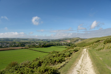 Fototapeta premium Path over Ballard Down above Corfe in Dorset