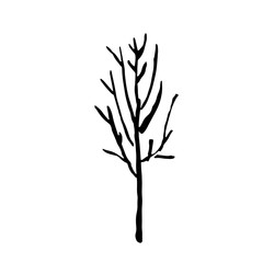 Tree silhouette. Hand drawn vector illustration.