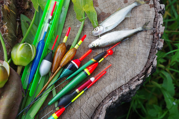 Multicolored fishing floats and caught fish on a tree stump
