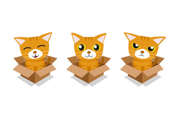 Vector cartoon illustration set of tabby cat in cardboard box for design.