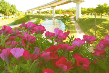 spring river background