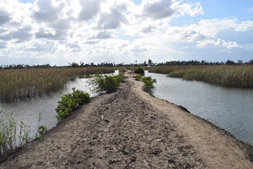 モザンビークの道