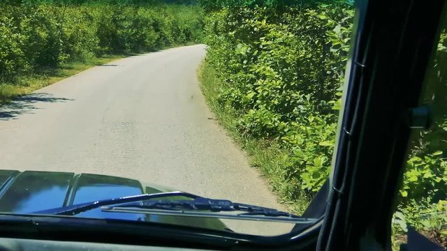 POV driving jeep on old rough asphalt road between green plants. Sunny summer day.