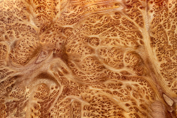 Nature Tabaek burl wood striped for Picture prints interior decoration car, Exotic wooden beautiful pattern for crafts or abstract art background texture