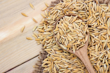Raw paddy rice on wooden spoon for eating in kitchen 